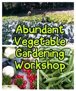 Abundant Vegetable Gardening Workshop