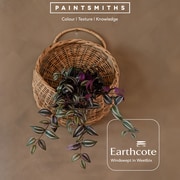 Nature Indoors: Earthcote's Windswept in Weetbix