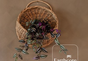 Nature Indoors: Earthcote's Windswept in Weetbix