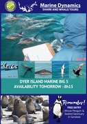 Next Dyer Island Marine Big 5 Tour: 19 March 2024