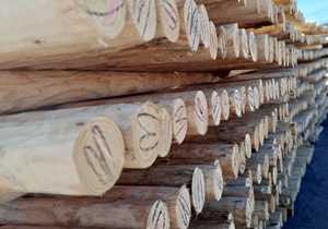 Fynbos Pole Depot - Pine Pole Production at Its Finest!