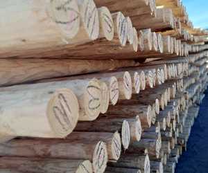 Fynbos Pole Depot - Pine Pole Production at Its Finest!