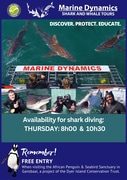 Next Marine Dynamics Shark Cage Diving Trip: 21 March 2024