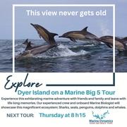 Next Dyer Island Marine Big 5 Tour: 21 March 2024