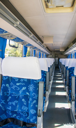 greyton_shuttle_services_dupp_s_transport_long_distance_bus_rides_1711447207