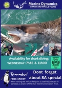 Next Marine Dynamics Shark Cage Diving Trip: 27 March 2024