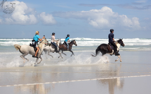Pearly Beach Horse Trails