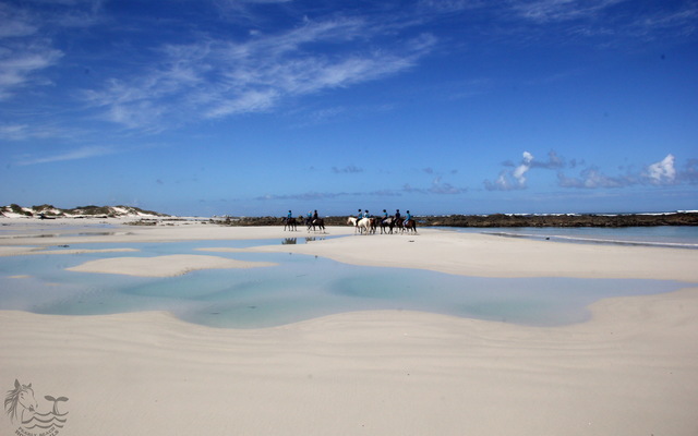 Pearly Beach Horse Trails