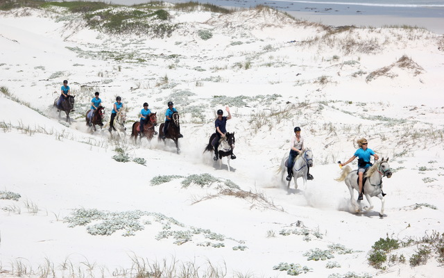 Pearly Beach Horse Trails