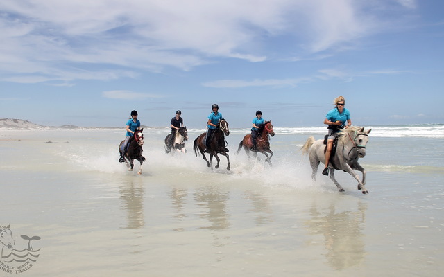 Pearly Beach Horse Trails
