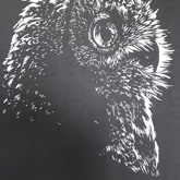 Owl - Florence Kruger Papercutting - Xplorio™ Agulhas / Struisbaai