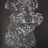 Queenie - Florence Kruger Papercutting - Xplorio™ Agulhas / Struisbaai