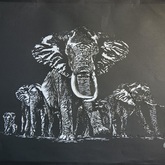 Elephants - Florence Kruger Papercutting - Xplorio™ Agulhas / Struisbaai