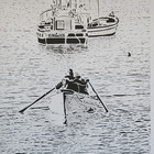 Struisbaai Harbour - Florence Kruger Papercutting - Xplorio™ Agulhas / Struisbaai