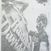 Harley - Florence Kruger Papercutting - Xplorio™ Agulhas / Struisbaai