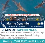 Next Marine Dynamics Shark Cage Diving Trip: 28 March 2024