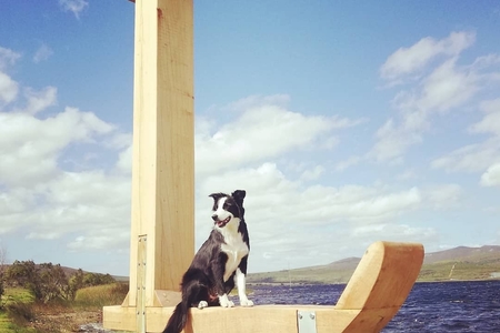 Pet_Friendly_1711544088