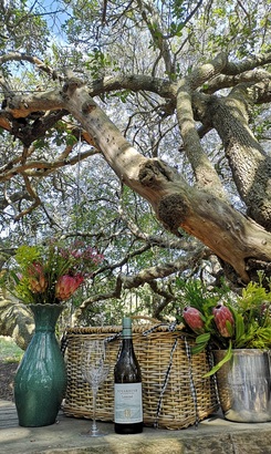 Sugarbush_Milkwoods_1711544215