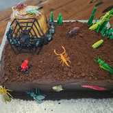 Chocolate Cake - Lifestyle Centre Bredasdorp - Xplorio™ Bredasdorp