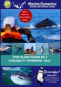 Next Dyer Island Marine Big 5 Tour: 3 April 2024