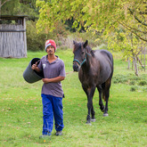 Care for Injured Animals - EARS Donkey Sanctuary - Xplorio™ Greyton / Genadendal