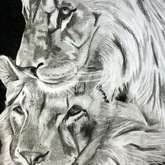 Art - Art4Heart - Xplorio™ Gansbaai