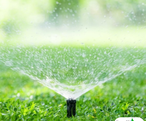 Resolve Low Water Pressure and Sprinkler Problems