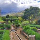 Garden - The Zesty Lemon Restaurant - Xplorio™ Stanford