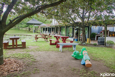 stanford_places_to_eat_the_zesty_lemon_restaurant_children_friendly_1712211859