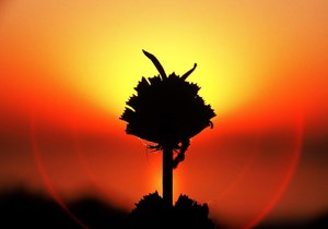 Month of Love Continued - Weekend Update Week 8