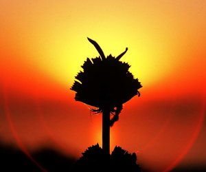 Month of Love Continued - Weekend Update Week 8