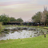 View of Restaurant - The Zesty Lemon Restaurant - Xplorio™ Stanford