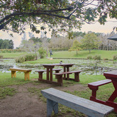 Pet Friendly - The Zesty Lemon Restaurant - Xplorio™ Stanford