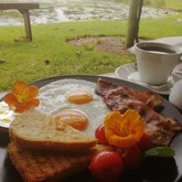 Breakfast - The Zesty Lemon Restaurant - Xplorio™ Stanford