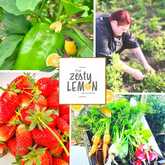 Veggies and Fruits - The Zesty Lemon Restaurant - Xplorio™ Stanford