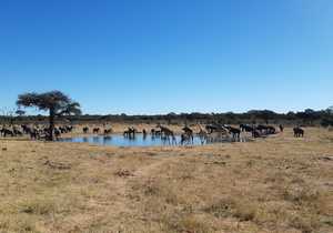 Ontdek Zimbabwe en Botswana (Deel 9)