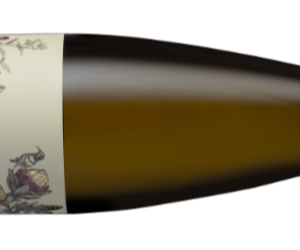 Weekend Tasting: The Riesling from Nitida