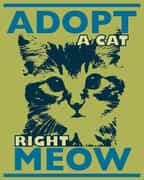 Help Us Find Homes for Furbabies!