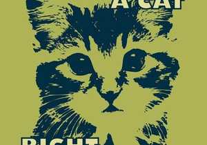 Help Us Find Homes for Furbabies!