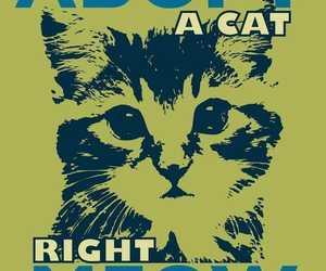 Help Us Find Homes for Furbabies!