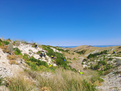 Grootbos Foundation's Rooikrans Removal Initiative