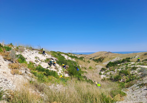 Grootbos Foundation's Rooikrans Removal Initiative