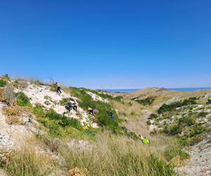 Grootbos Foundation's Rooikrans Removal Initiative