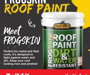 Introducing Flash Harry Roof Paint: FROGSKIN!