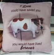 Make Your Pet's Picture into a Pillow!