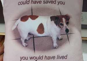 Make Your Pet's Picture into a Pillow!