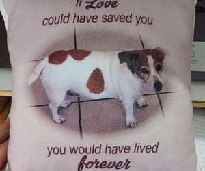 Make Your Pet's Picture into a Pillow!