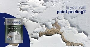 Say Goodbye to Peeling Paint with DAMPCURE/SURFACE RESTORER!