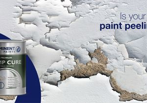 Say Goodbye to Peeling Paint with DAMPCURE/SURFACE RESTORER!