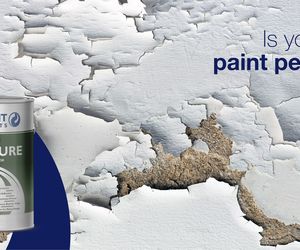 Say Goodbye to Peeling Paint with DAMPCURE/SURFACE RESTORER!